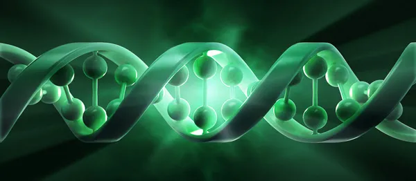 Image of DNA.