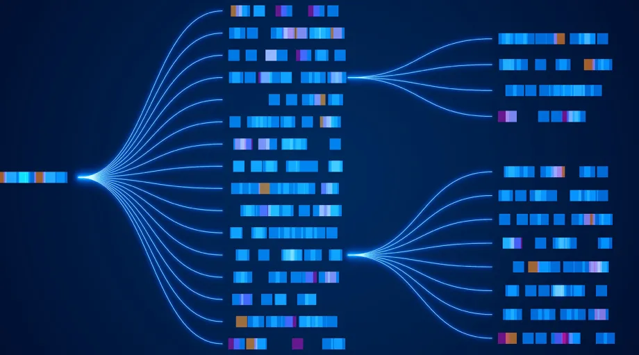 Graphic image of colored squares representing genes getting separated out into multiple sequences.
