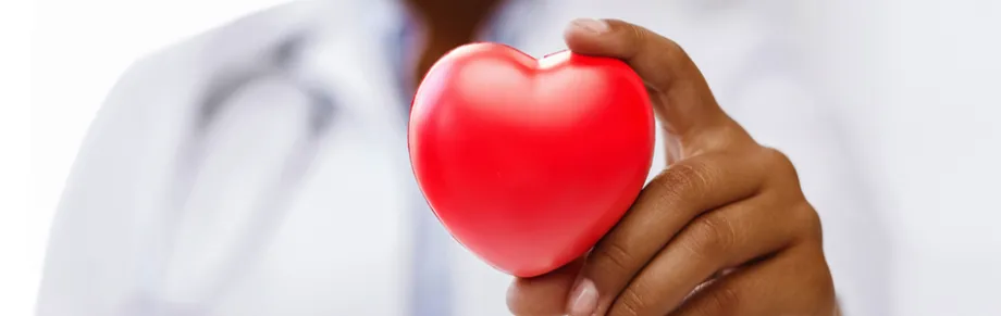 Photo of doctor holding up a toy heart.