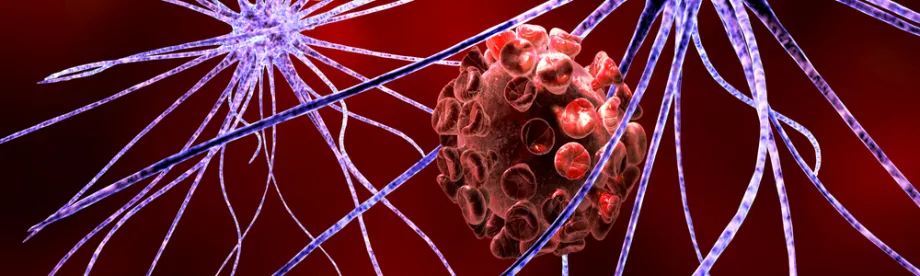 Graphic of cells affected by immunodeficiency disease.