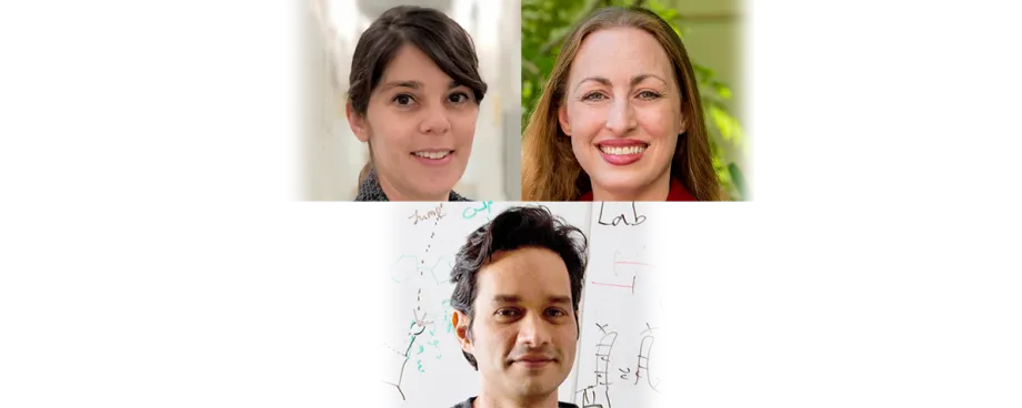 Banner of headshot photos showing Drs. Kristy Red-Horse, Michelle Monje, and Rhiju Das.