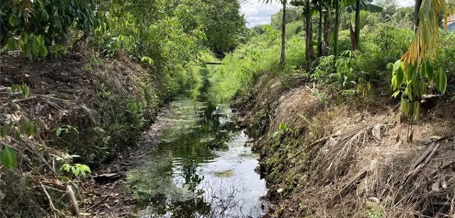 Photo of a canal with water in it, cut thorugh jungle area with some houses in the background.