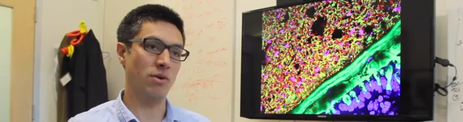 Photo of Dr. KC Huang.