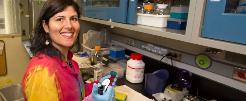 Photo of Dr. Desiree LaBeaud in the laboratory pipetting.