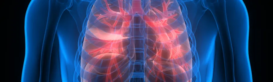 Graphic image of human lungs.