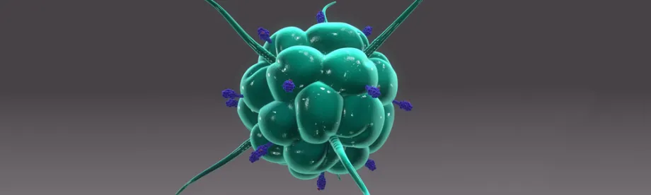 Graphic illustration of a teal green macophage with blue receptors.