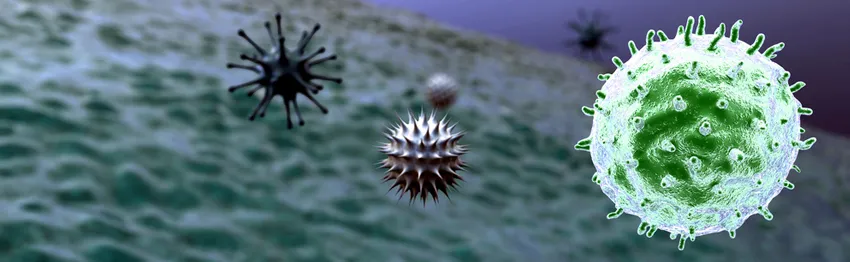 Graphic image of macrophages in bloodstream, with virus cell in green.