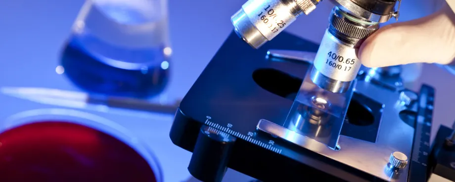 Photo of laboratory table with microscope and petri dish.