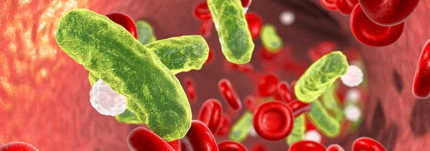 Grahic illustration depicting microbes as green tubes and red blood cells in a blood vessel.