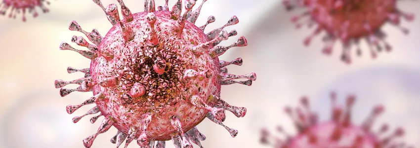 Graphic image of microbe cells in pink on a pale background.