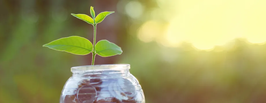 Photo of leaf in a jar of coins.