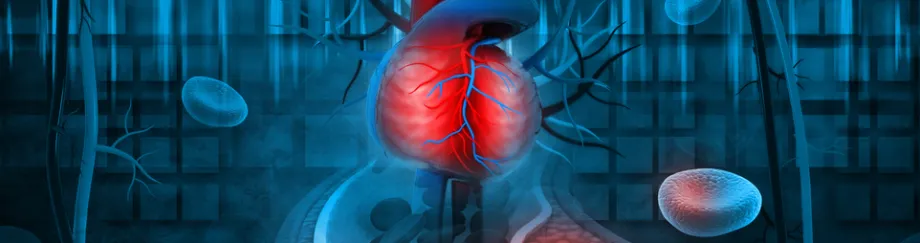 Graphic image of heart and blood vessels.