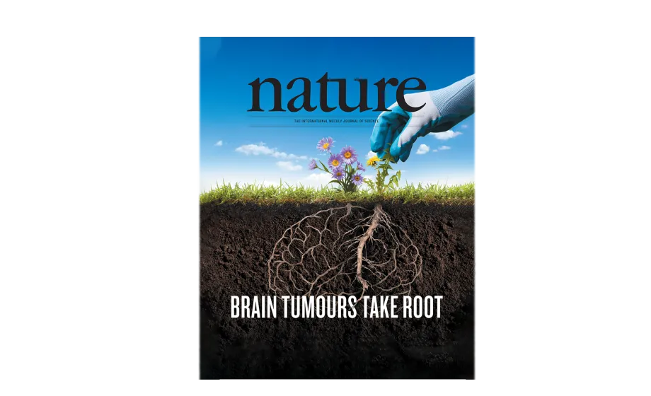 graphic of Nature magazine cover showing a gardener pulling a dandelion attached to a brain-shaped set of roots beneath the soil.