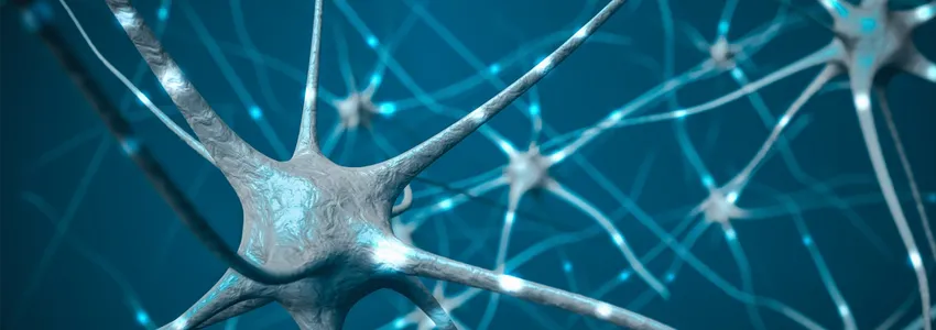 Graphic image of neurons lighting up with signals along their axons, against a dark turquoise background.
