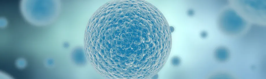 Graphic image of stem cells.