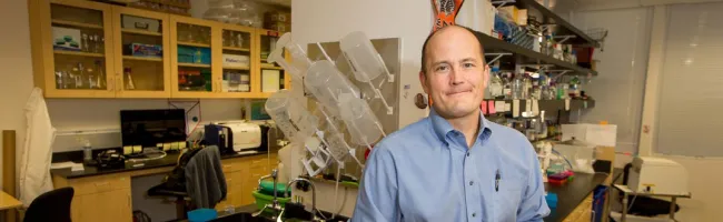 Photo of Dr. Paul Bollyky in the lab.