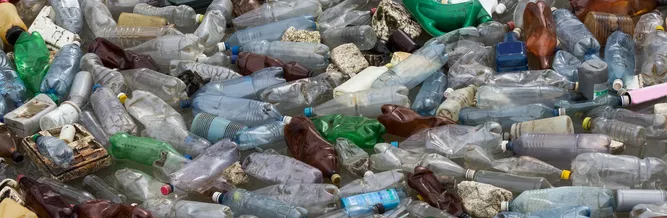 Photo of plastic bottle waste.