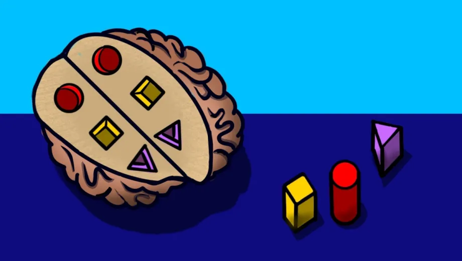 Graphic image of a brain with 3D shapes removed and set off to the side.