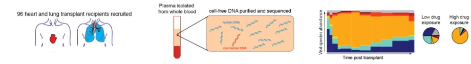 Graphical abstract from Dr. Quake's publication in Cell.