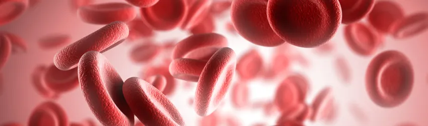 Graphic image of red blood cells.