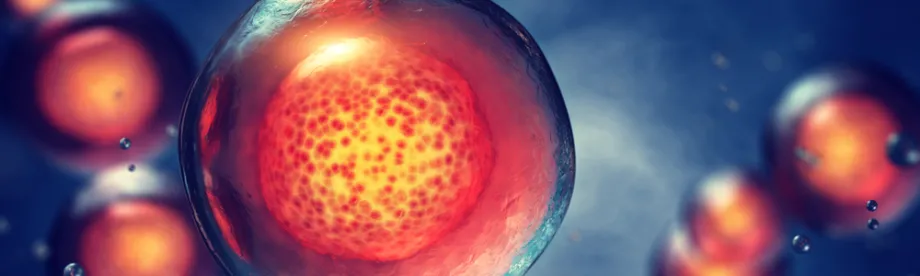 Graphic image of stem cells.