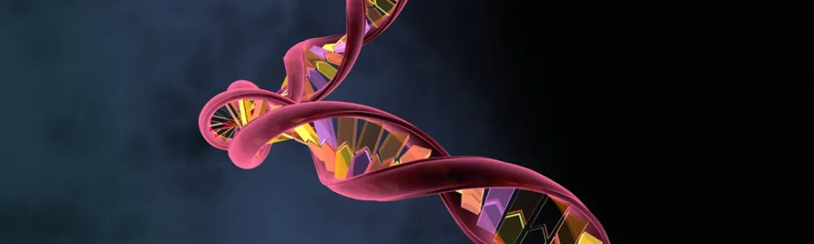 Graphic image of RNA.