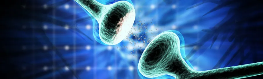 Graphic image of a synapse.