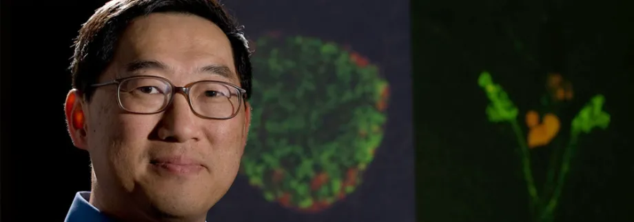 Photo of Dr. Seung Kim.