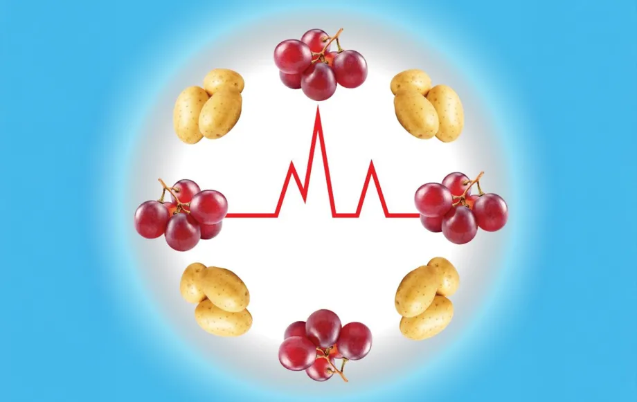 Graphic image of clusters of potatoes and grapes around a monitor line.