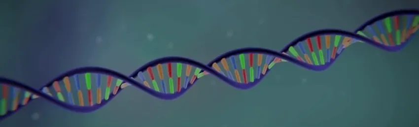 Screenshot from video.