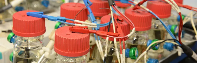 Photo of compounds in the Spormann lab.