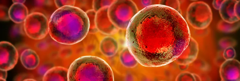 Graphic image of stem cells with nuclei in red on an orange background.