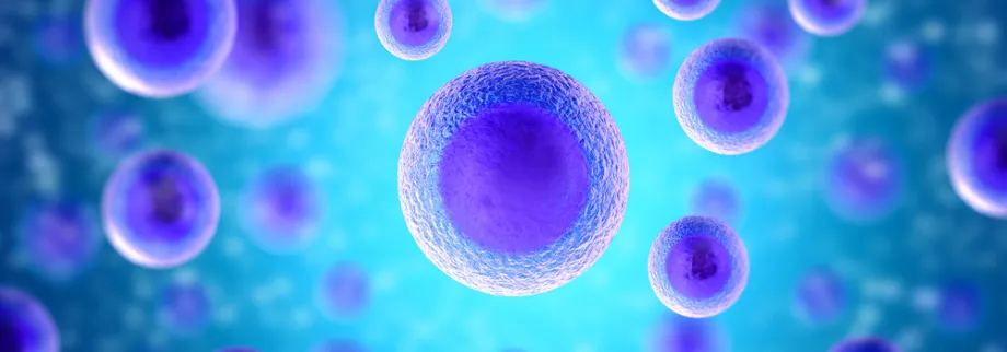 Graphic of human cells.