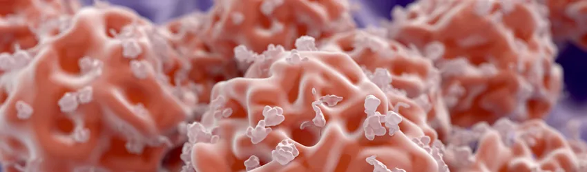 Graphic image of stem cells.