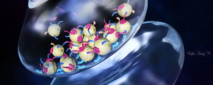 Graphic by Layla Lang of synaptic vesicles.