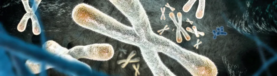 Graphic image of chromosomes.