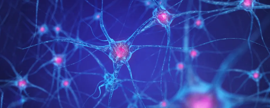 Graphic image of interconnected neurons, with nuclei in pink on a blue background.