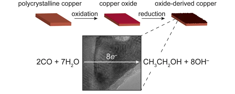 Diagram from study published in Nature.