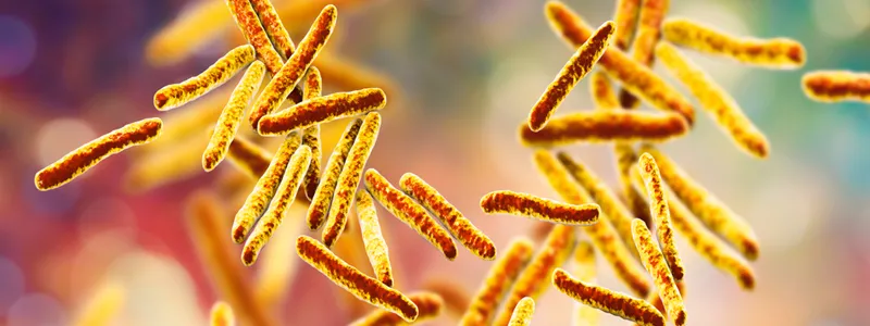 graphic image of tuberculosis bacteria on a colorful background