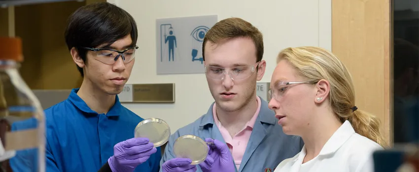 Photo of students Christian Choe, left, Zach Rosenthal and Maria Filsinger Interrante, examining petri dishes in the laboratory.